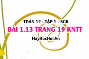 Bài 1.13 trang 19 Toán 12 tập 1 Kết nối tri thức
